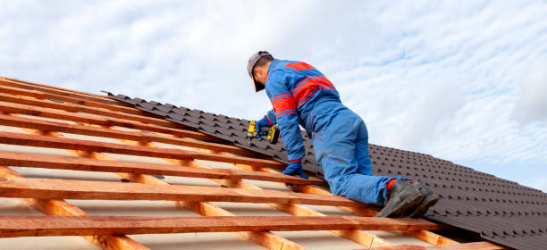 Best Skylight Installation and Repair  in Danvers, IL