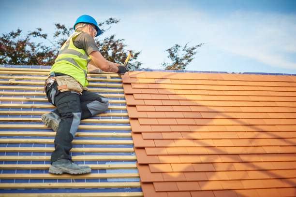 Best Storm Damage Roof Repair  in Danvers, IL